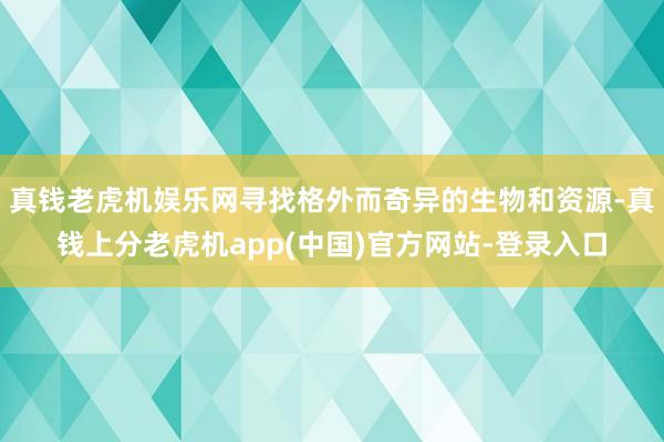 真钱老虎机娱乐网寻找格外而奇异的生物和资源-真钱上分老虎机app(中国)官方网站-登录入口