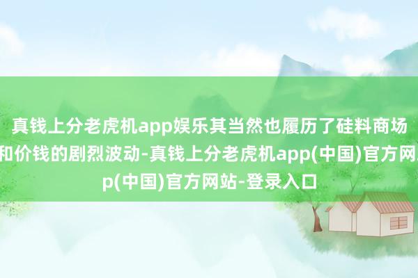 真钱上分老虎机app娱乐其当然也履历了硅料商场原材料供给和价钱的剧烈波动-真钱上分老虎机app(中国)官方网站-登录入口