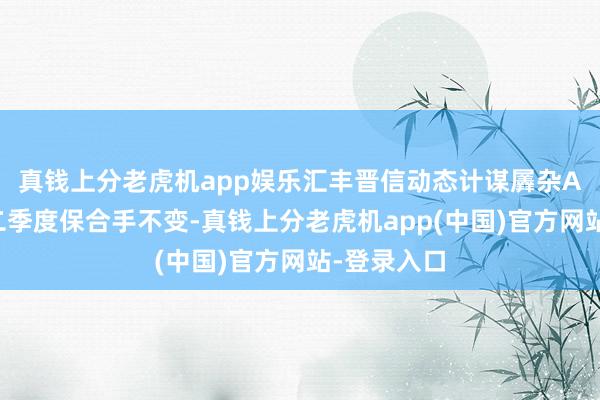 真钱上分老虎机app娱乐汇丰晋信动态计谋羼杂A在本年第二季度保合手不变-真钱上分老虎机app(中国)官方网站-登录入口