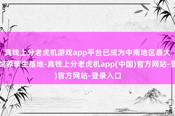 真钱上分老虎机游戏app平台已成为中南地区最大的虎类饲养孳生基地-真钱上分老虎机app(中国)官方网站-登录入口