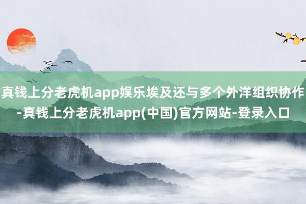 真钱上分老虎机app娱乐埃及还与多个外洋组织协作-真钱上分老虎机app(中国)官方网站-登录入口