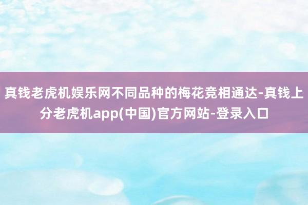 真钱老虎机娱乐网不同品种的梅花竞相通达-真钱上分老虎机app(中国)官方网站-登录入口